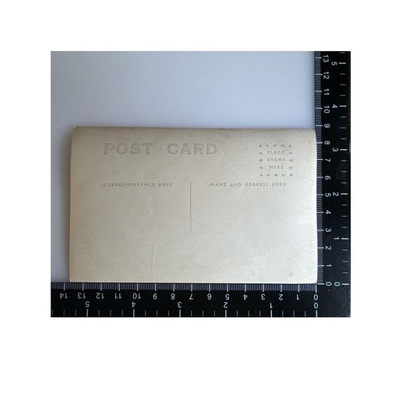 Antique RPPC Postcard Portraits Ephemera Woman Portrait Greeting Card Sepia Tone - Picture 3 of 3